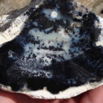 Merlinite / Dendritic Opal
